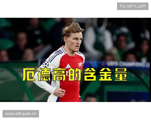 厄德高数据表现:进攻核心价值与含金量拆解 厄德高数据表现:进攻核心价值与含金量拆解