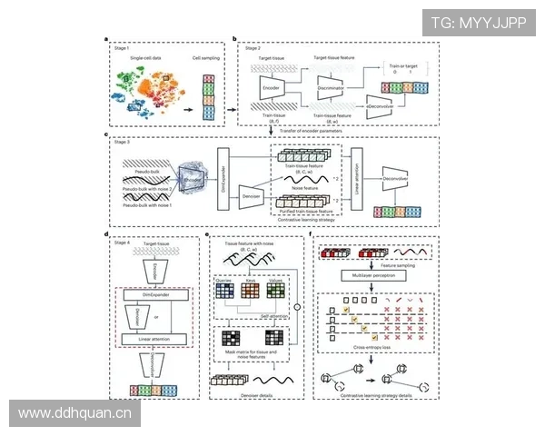 罗德里与哈维传控体系对比：结构差异与后置核心价值分析